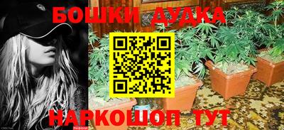 прущие крисы Комсомольск-на-Амуре