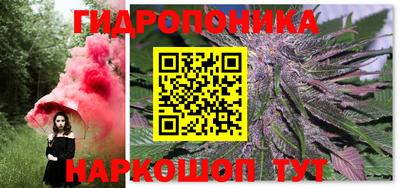 крисы Конаково