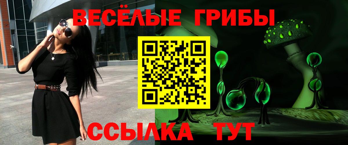 Псилоцибиновые грибы прущие грибы  Псилоцибиновые грибы мухоморы  Кудрово  Вход с VPN 