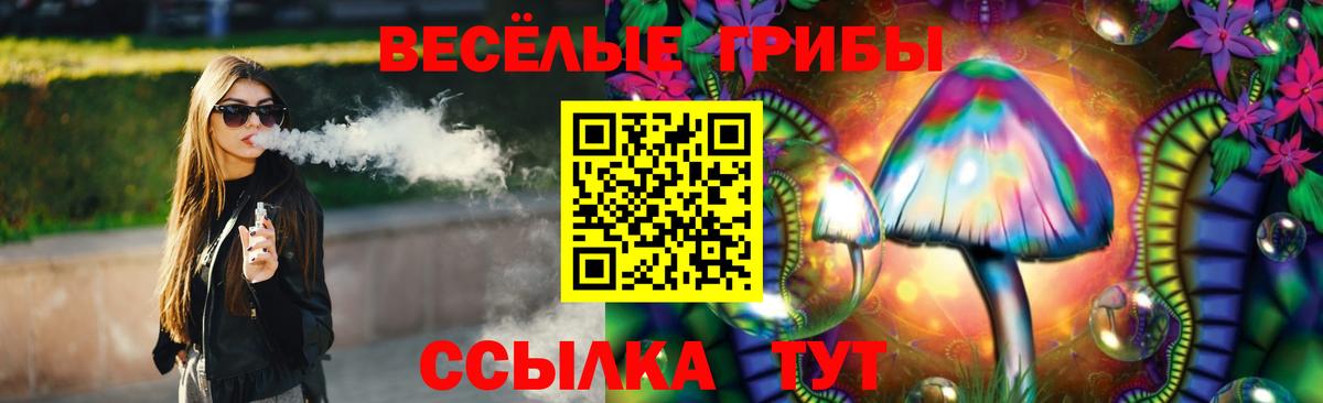 COCAIN Кудрово